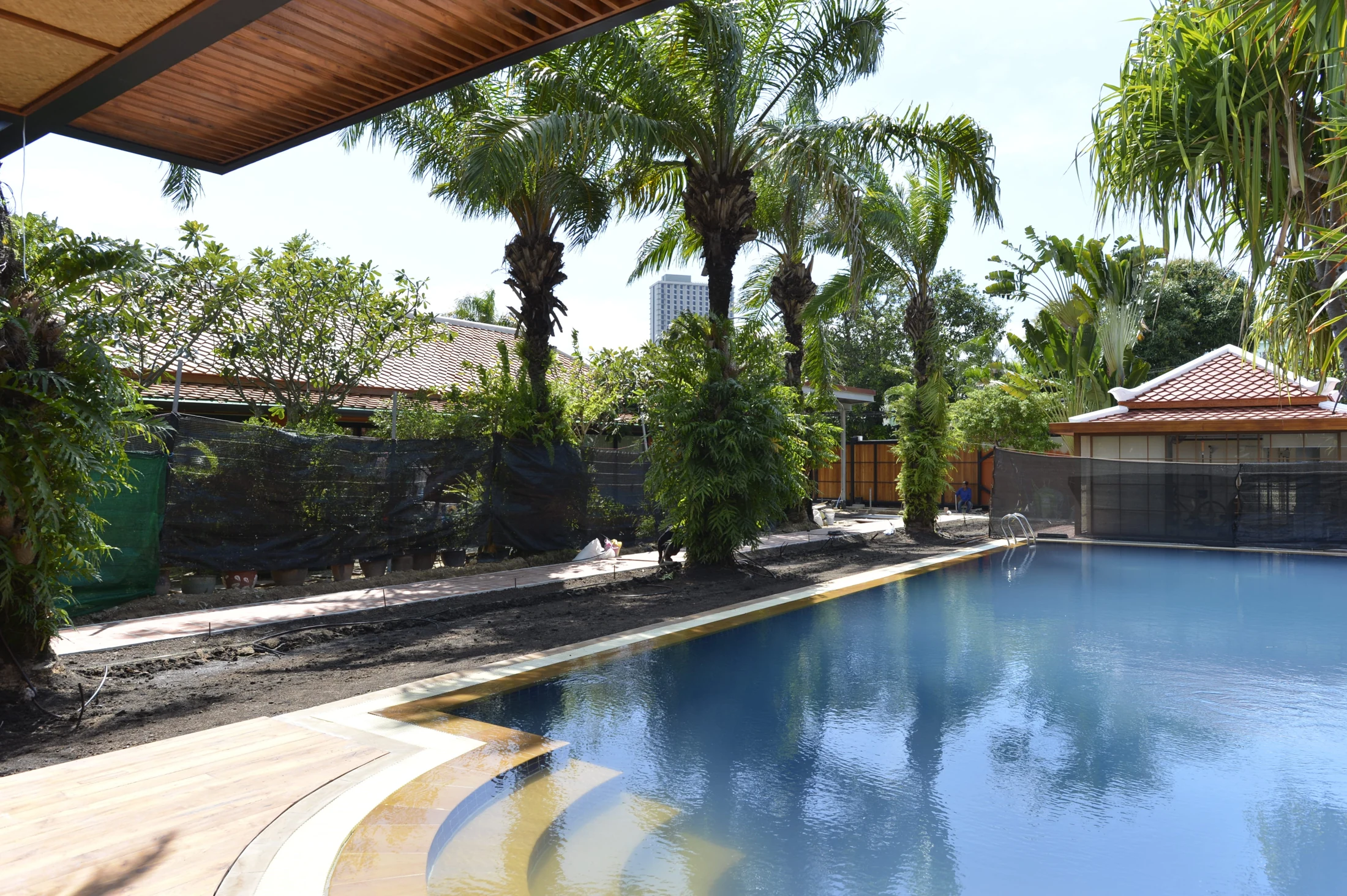 Pool and tropical garden · renovation-stage photograph